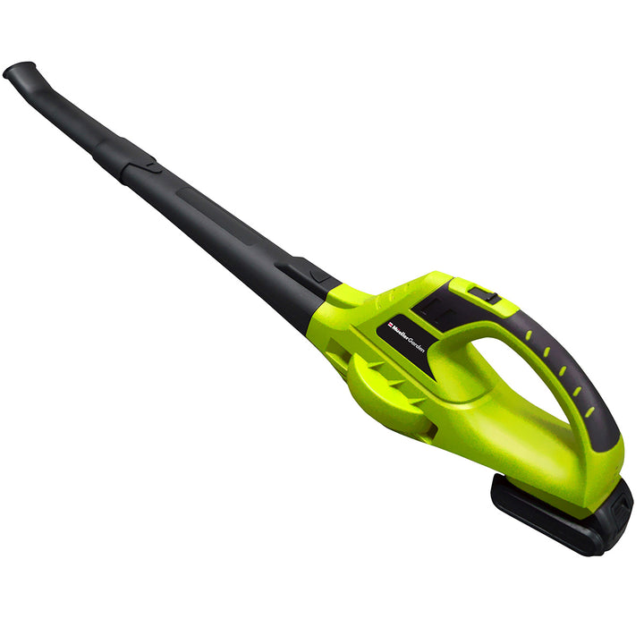 Green and black leaf blower on a white background