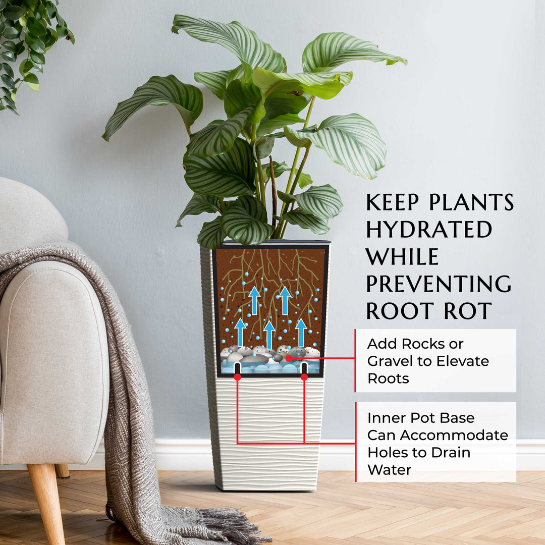 Potted plant with a diagram explaining water drainage system in a room setting.