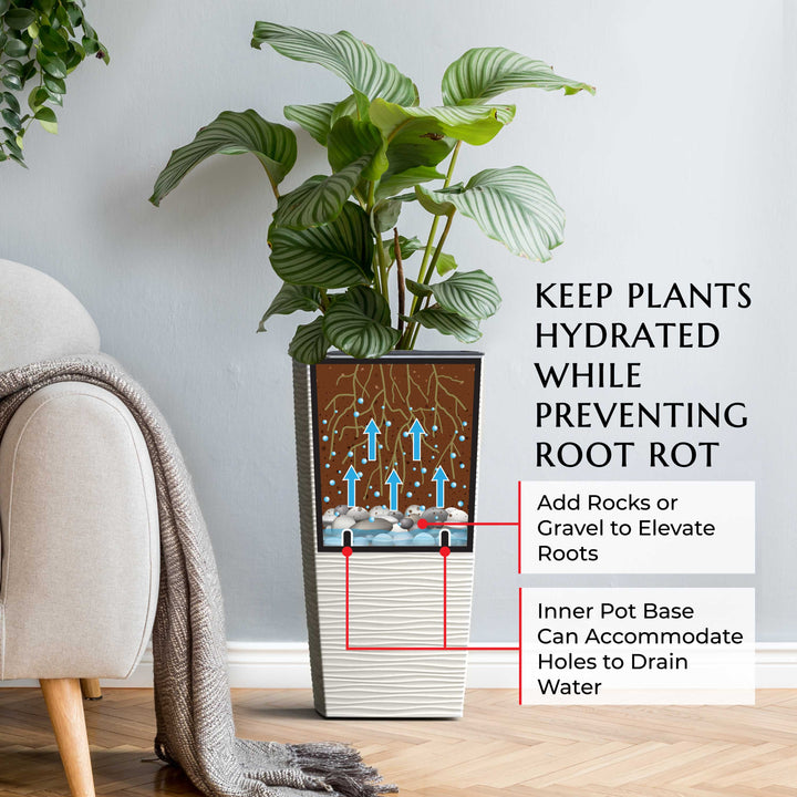 Potted plant with a diagram explaining water drainage system in a room setting.
