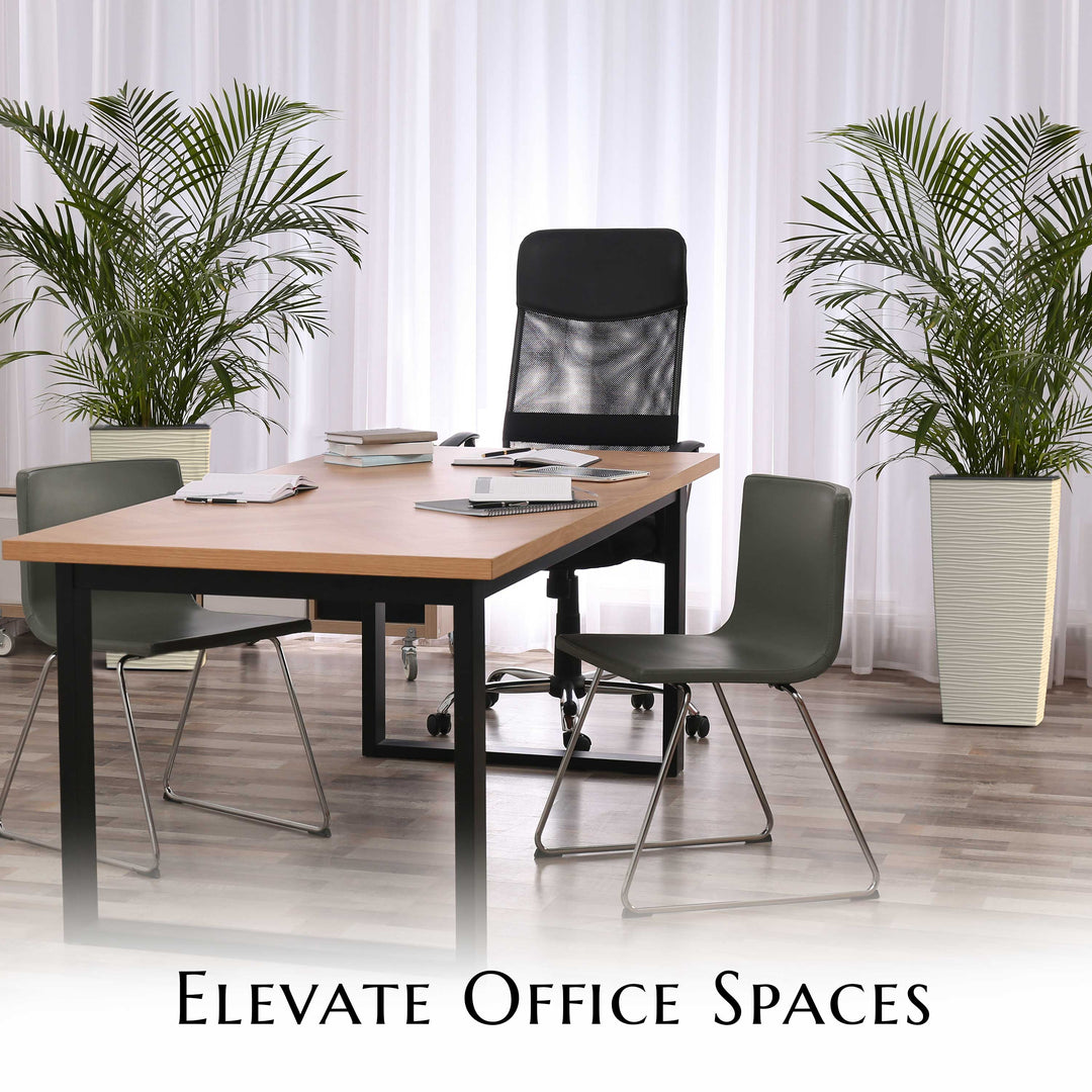 Modern office setup with a desk, chairs, and potted plants in a bright room.