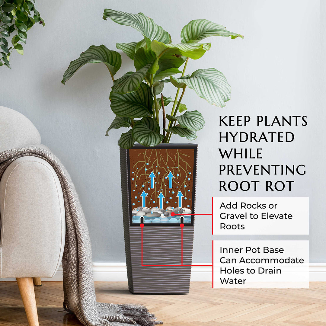 Potted plant with drainage system diagram in a room setting