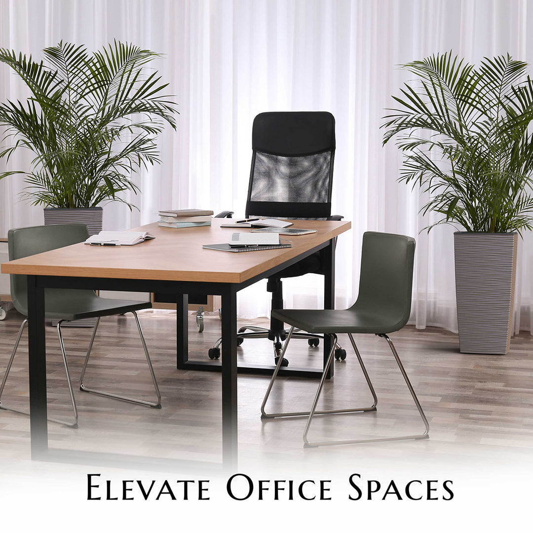 Modern office setup with a wooden table, black chairs, and potted plants.