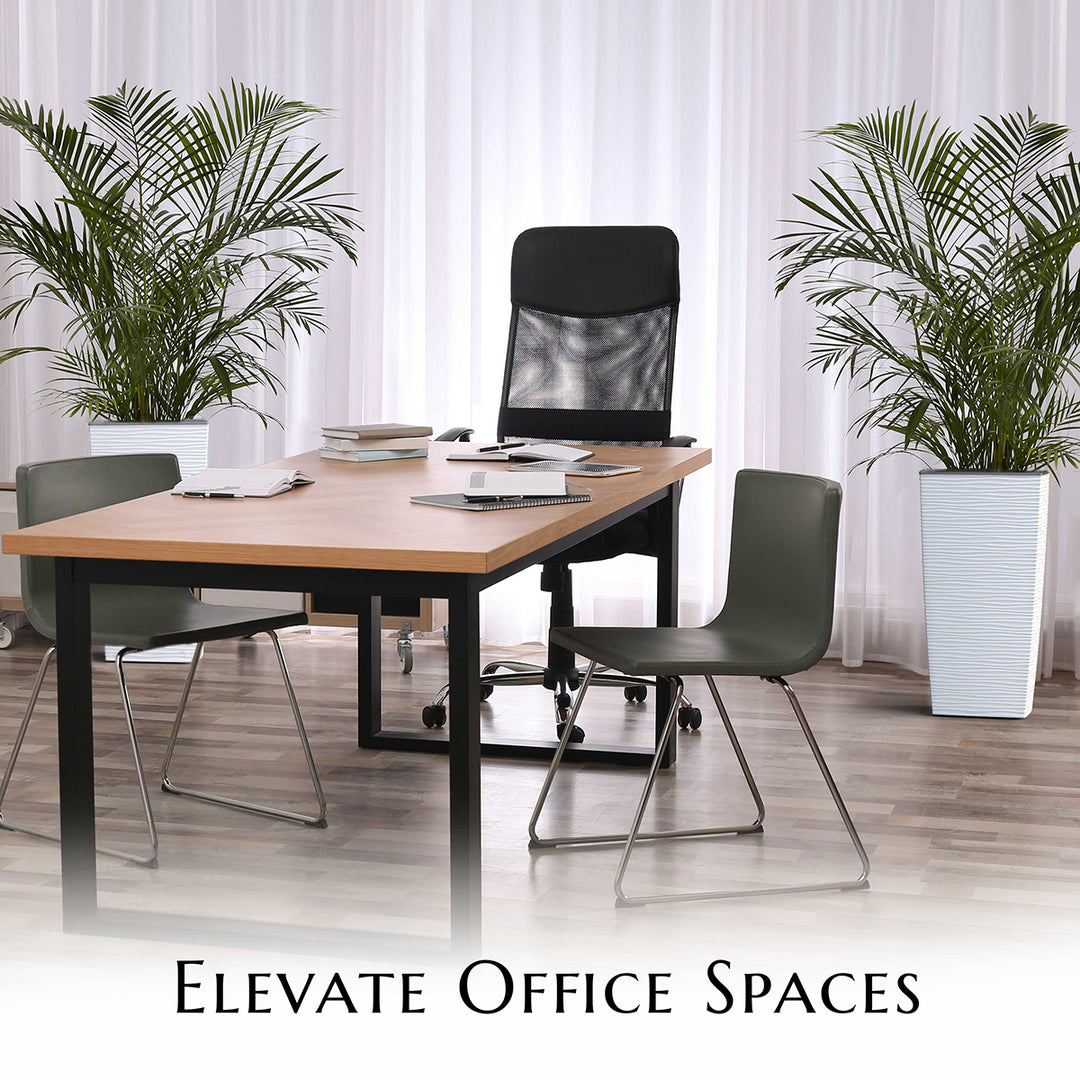Modern office setup with a wooden desk, black chairs, and potted plants.