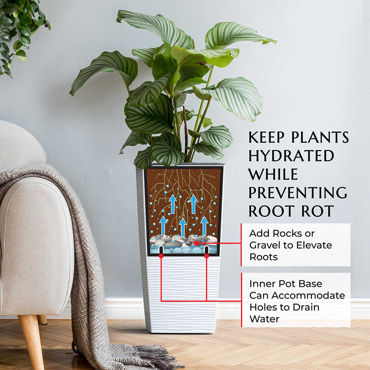 Potted plant with drainage system explanation in a room setting